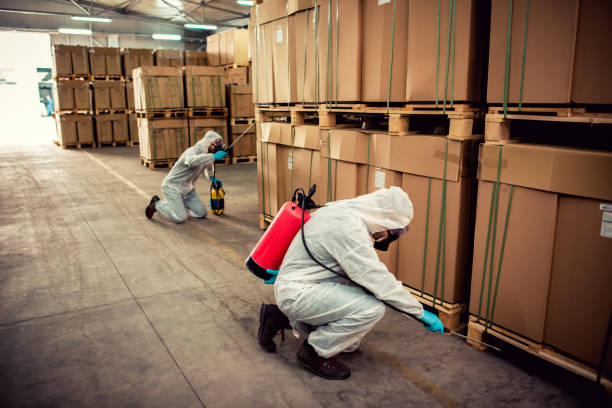 Best Best Pest Control Companies  in Shady Spring, WV
