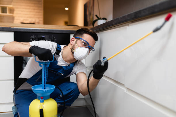Best Termite Control Services  in Shady Spring, WV