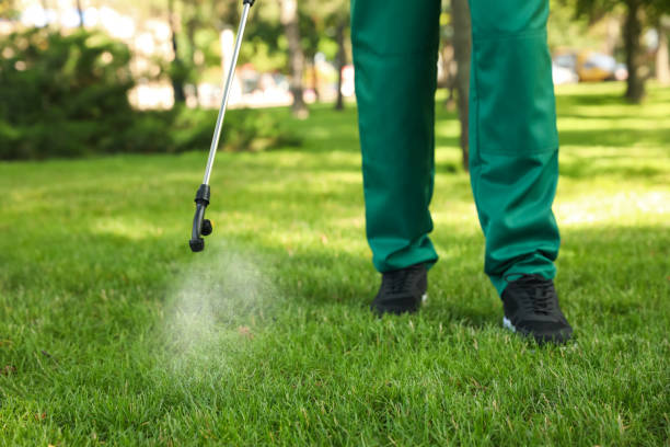 Best Affordable Pest Control Services  in Shady Spring, WV