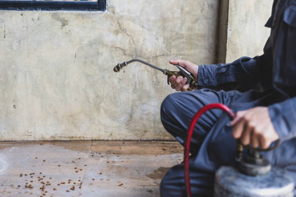 Best Local Pest Control Services  in Shady Spring, WV